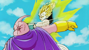 I Will Deal with the Majin! Vegeta's Final Mortal Combat!