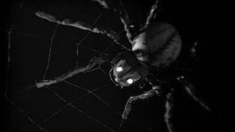 Vassilisa the Beautiful (1940)