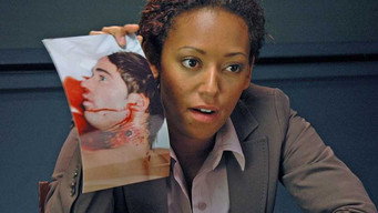Telling Lies (2008)