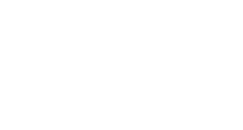 The Fast and the Furious logo