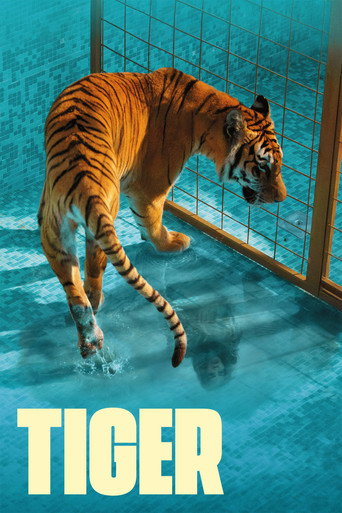Poster 4
