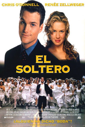 Poster de El soltero