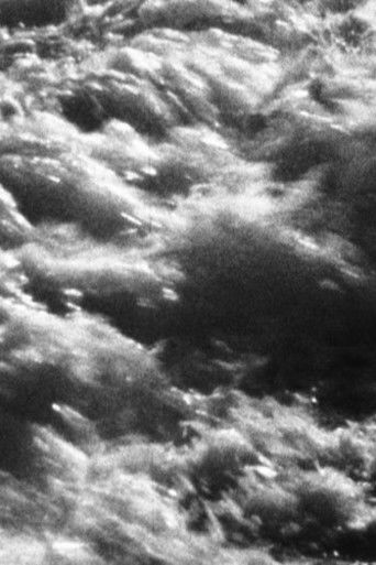 Train to Solitude Waves