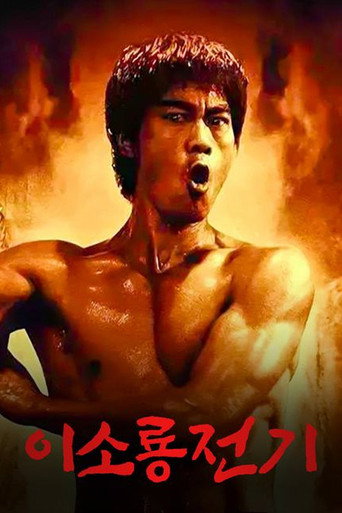 Bruce Lee: A Lenda — Pôsteres 15