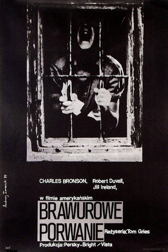 Plakat Brawurowe porwanie