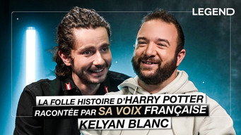 The wild story of Harry Potter, narrated by his French voice actor, Kelyan Blanc
