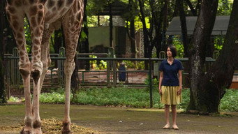 Postcards from the Zoo (2012)