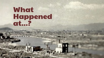 What Happened at Chernobyl (2026- )