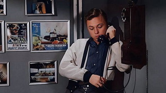 The Spider (1958)