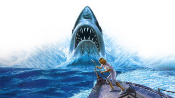 Jaws: The Revenge backdrop 1