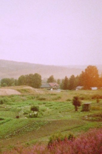 Ljuset finns där ändå