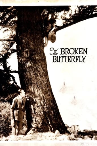 Poster of The Broken Butterfly