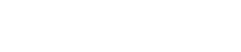Newness logo