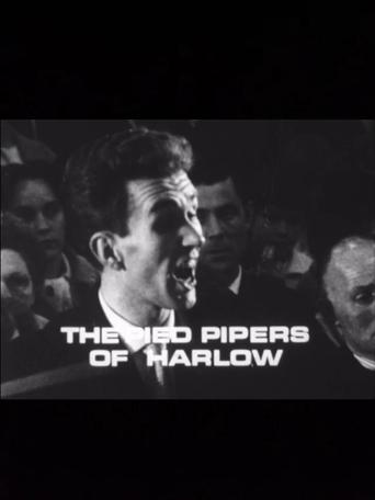 The Pied Pipers of Harlow The Pied Pipers of Harlow