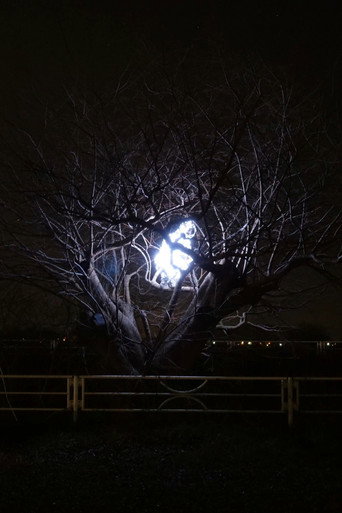 ILLUMINATOR galeri 2