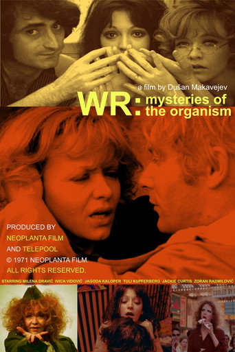 Póster del título