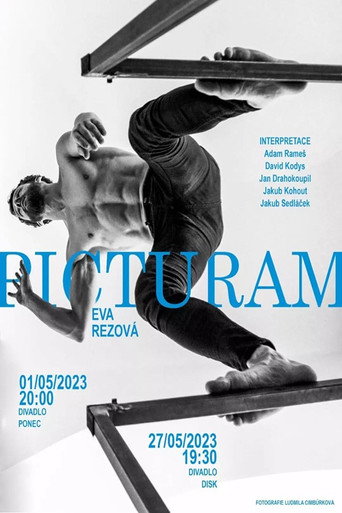 Póster del título