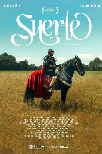 Suerte poster