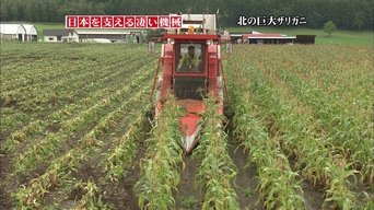 Episode 40