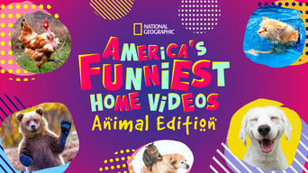 #6 America's Funniest Videos: Animal Edition