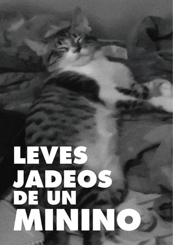 Slight panting of a pussycat poster