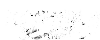 The Courier logo