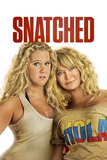 Snatched (2017)