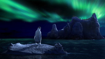 Still 11 from Happy Feet
