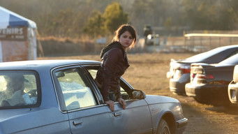 Galeria 4 - Los principios del cuidado