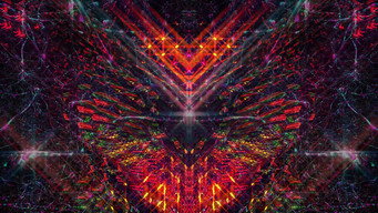 Bufo Alvarius: The Underground Secret (2018)