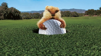 Caddyshack backdrop 6