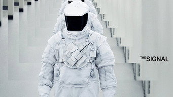#11 Сигнал