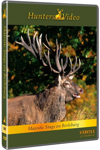 Majestætiske Kronhjorte På Berleburg