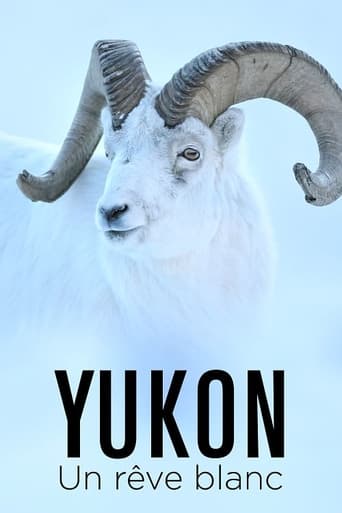 Yukon, un sueño invernal