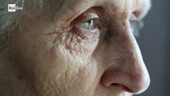 第15話：Demography