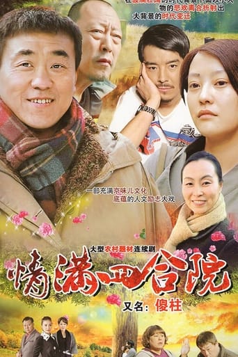 Poster of 情满四合院