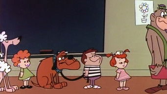 Episode 10 — Pet Bet