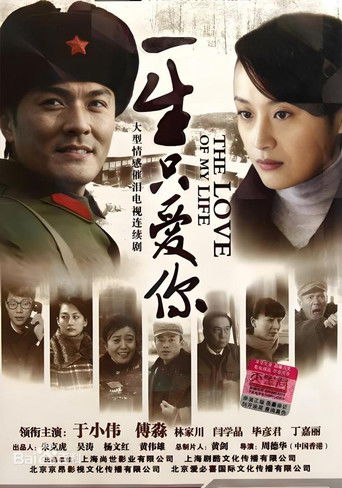 一生只爱你 poster