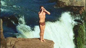 Tarzan media image
