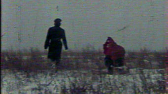Metamorphosis (1988)