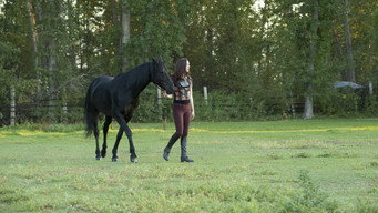 #4 Flicka: Country Pride