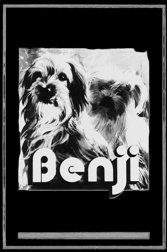 Benji poster 7