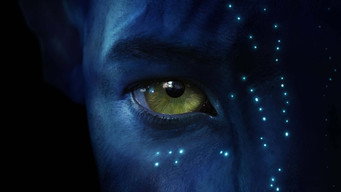 What order should you watch Avatar in?