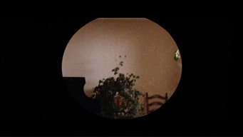 #12 10