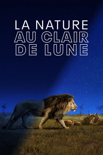 La nature au clair de Lune