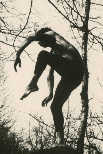 A Study in Choreography for Camera