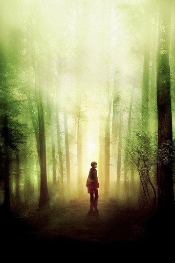 The Spiderwick Chronicles