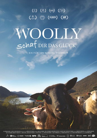 Woolly – Schaf dir das Glück