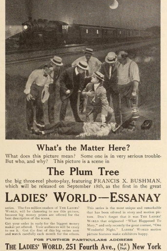 The Plum Tree