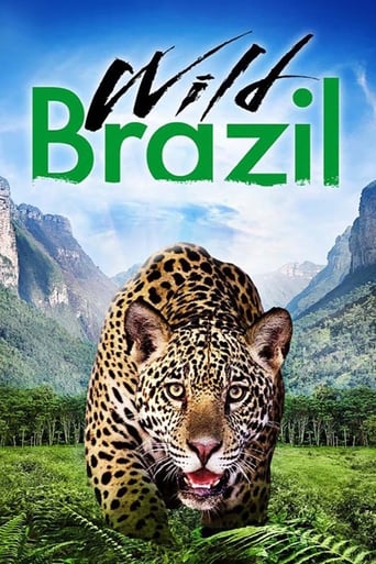 Poster of Wild Brazil